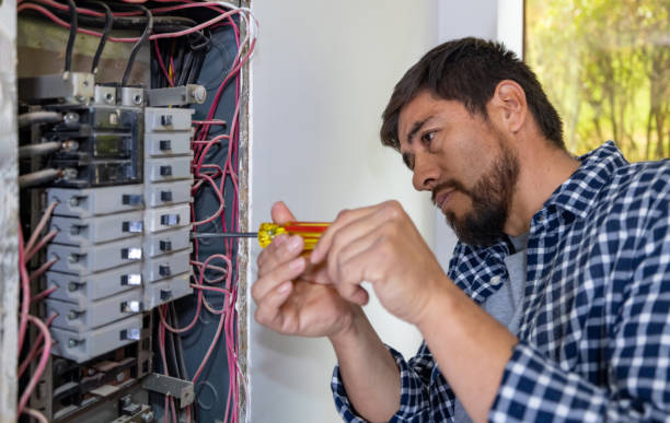 Best Electric Panel Repair  in Riesel, TX